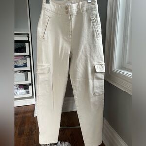 Aritzia Cargo Pants